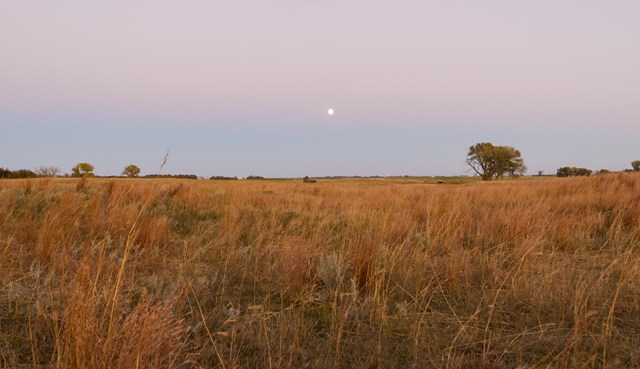 Ruts lead out into a field of grass, under a twilight.